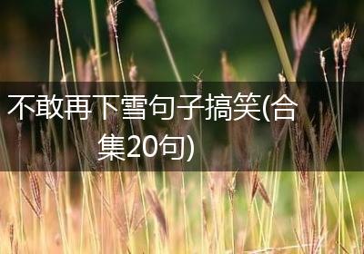 不敢再下雪句子搞笑(合集20句)