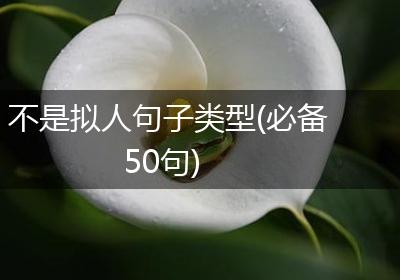 不是拟人句子类型(必备50句)