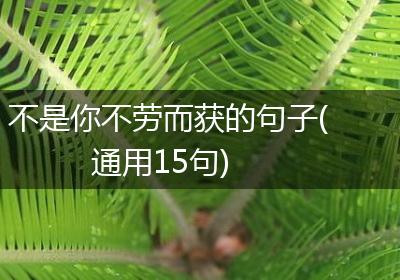 不是你不劳而获的句子(通用15句)