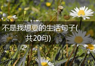 不是我想要的生活句子(共20句)