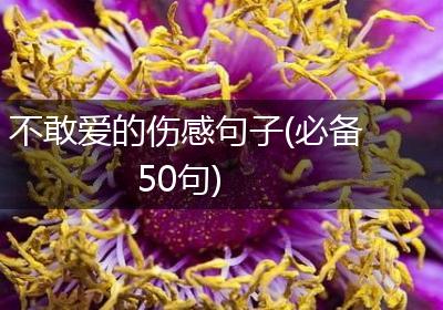 不敢爱的伤感句子(必备50句)