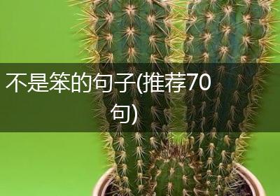 不是笨的句子(推荐70句)