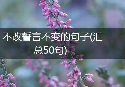 不改誓言不变的句子(汇总50句)