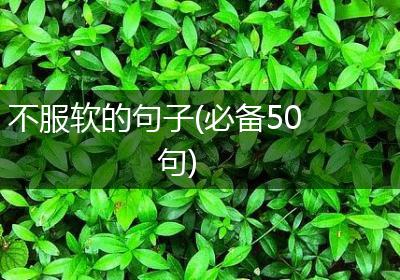 不服软的句子(必备50句)