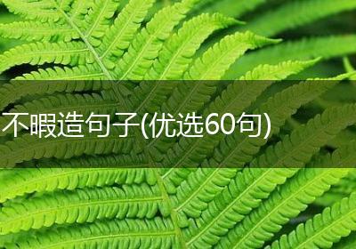 不暇造句子(优选60句)