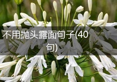 不用抛头露面句子(40句)