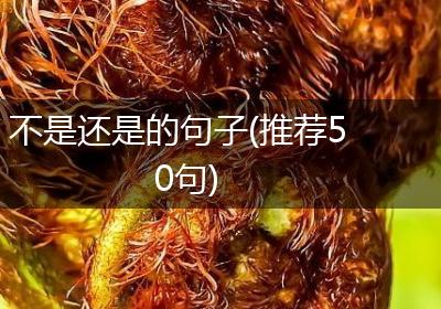 不是还是的句子(推荐50句)