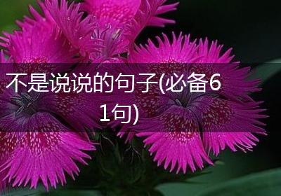 不是说说的句子(必备61句)