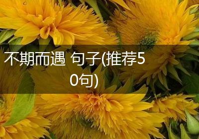 不期而遇 句子(推荐50句)