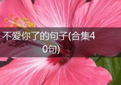 不爱你了的句子(合集40句)