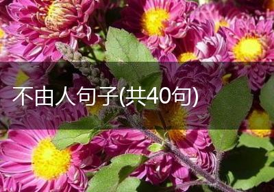 不由人句子(共40句)