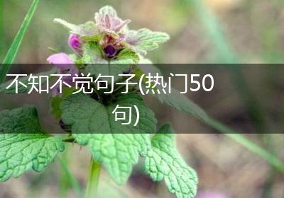 不知不觉句子(热门50句)