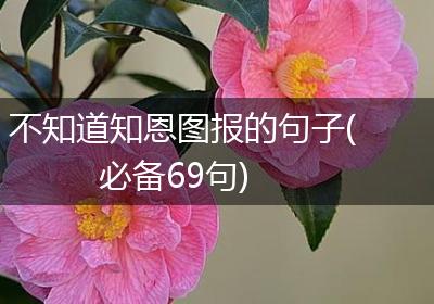 不知道知恩图报的句子(必备69句)