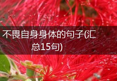 不畏自身身体的句子(汇总15句)