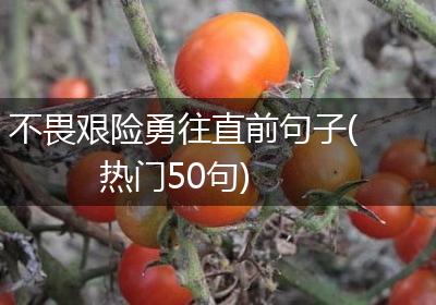 不畏艰险勇往直前句子(热门50句)