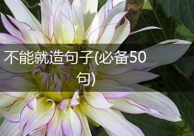 不能就造句子(必备50句)