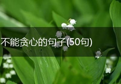 不能贪心的句子(50句)