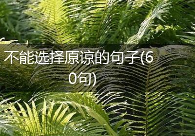 不能选择原谅的句子(60句)