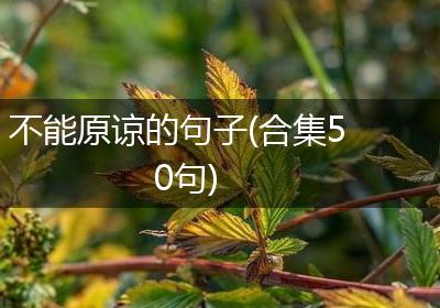 不能原谅的句子(合集50句)