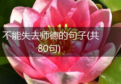 不能失去师德的句子(共80句)
