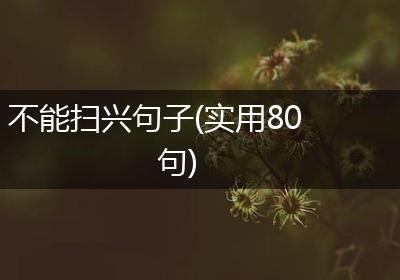 不能扫兴句子(实用80句)