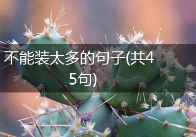 不能装太多的句子(共45句)