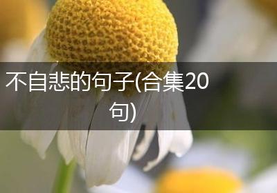 不自悲的句子(合集20句)