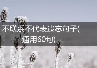 不联系不代表遗忘句子(通用60句)