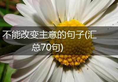不能改变主意的句子(汇总70句)