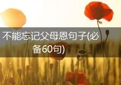 不能忘记父母恩句子(必备60句)