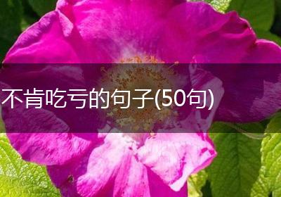不肯吃亏的句子(50句)