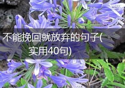 不能挽回就放弃的句子(实用40句)