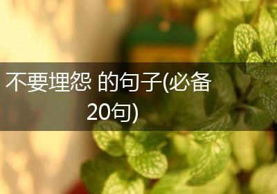 不要埋怨 的句子(必备20句)