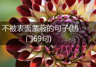 不被表面蒙蔽的句子(热门69句)