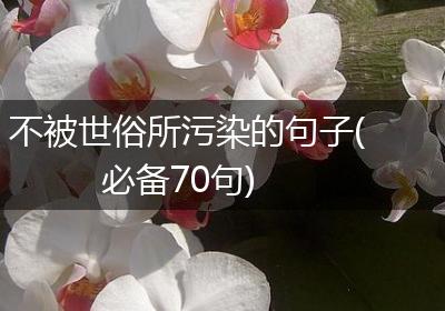 不被世俗所污染的句子(必备70句)