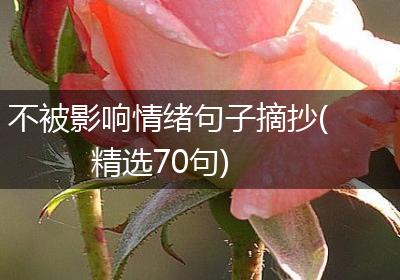 不被影响情绪句子摘抄(精选70句)
