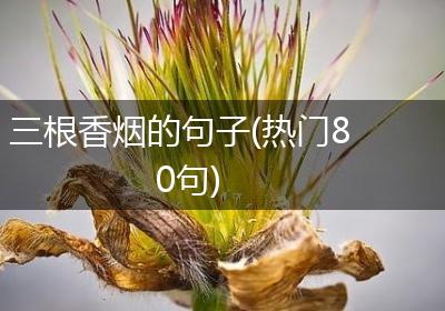 三根香烟的句子(热门80句)