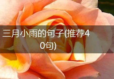 三月小雨的句子(推荐40句)