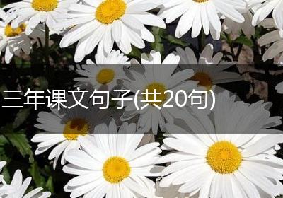 三年课文句子(共20句)