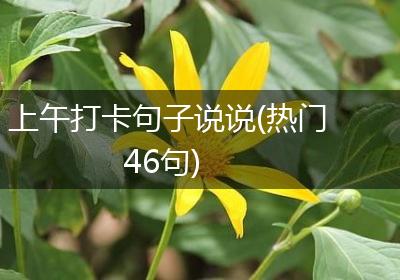 上午打卡句子说说(热门46句)
