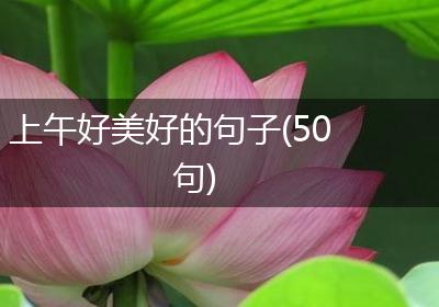 上午好美好的句子(50句)