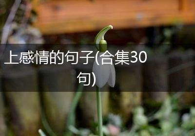 上感情的句子(合集30句)