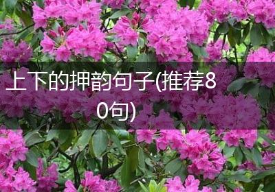 上下的押韵句子(推荐80句)