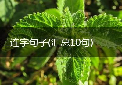 三连字句子(汇总10句)