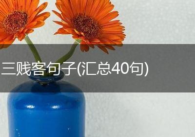 三贱客句子(汇总40句)