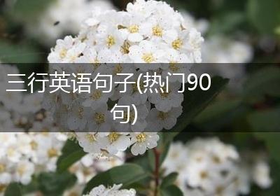 三行英语句子(热门90句)