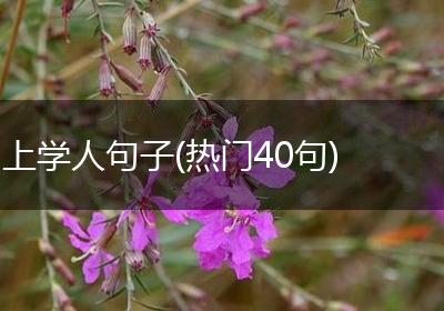 上学人句子(热门40句)
