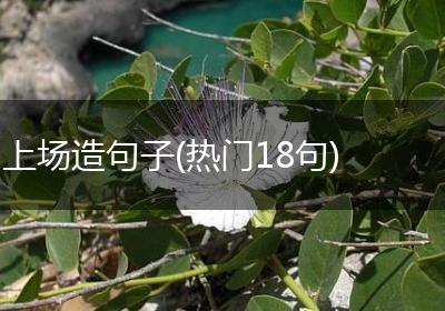 上场造句子(热门18句)