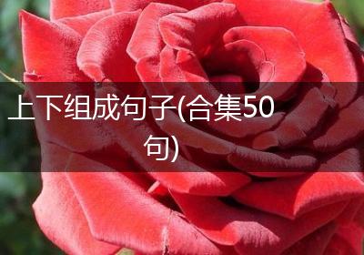上下组成句子(合集50句)