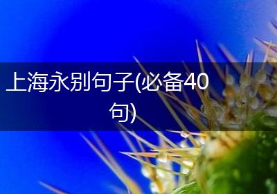 上海永别句子(必备40句)